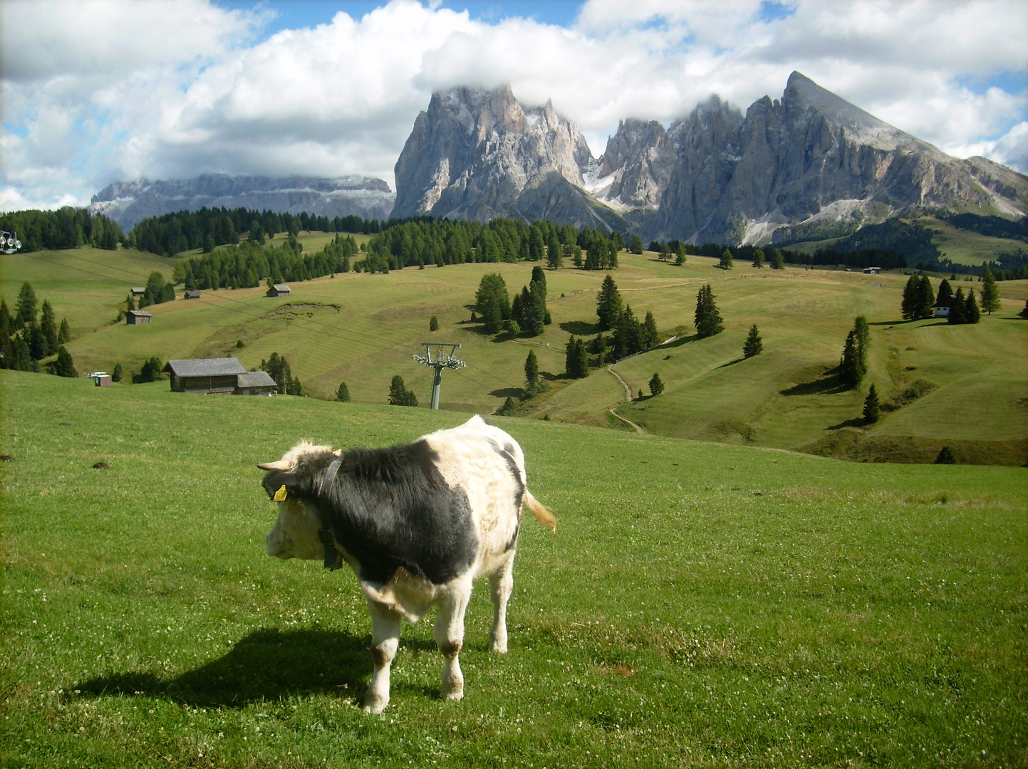 Ruhe auf der Seiseralm