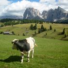 Ruhe auf der Seiseralm