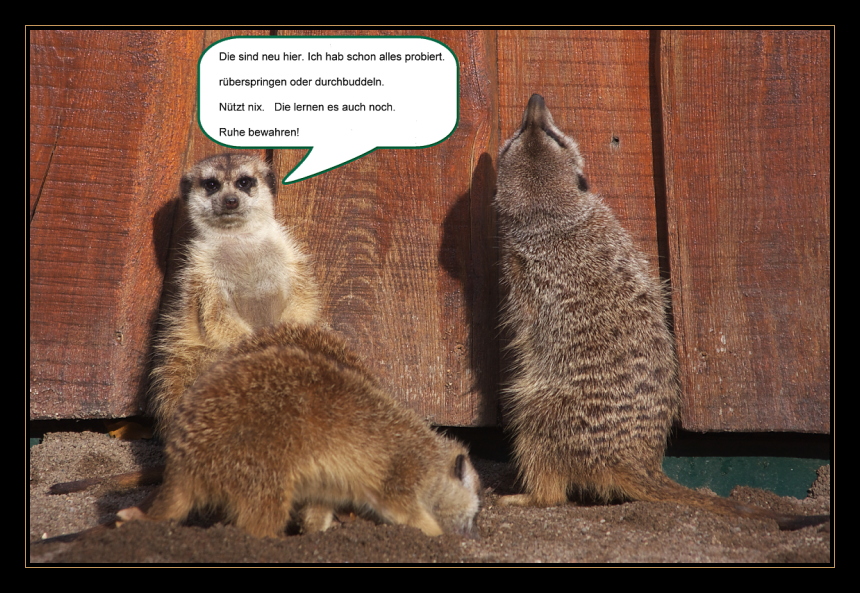 Ruhe bewahren Foto & Bild quatsch, fun und rätselecke, sprechblasen