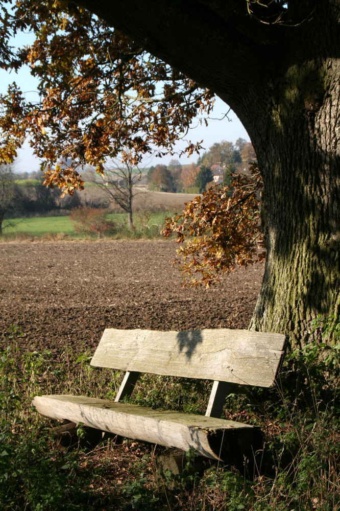 Ruhe, Erholung, Entspannung