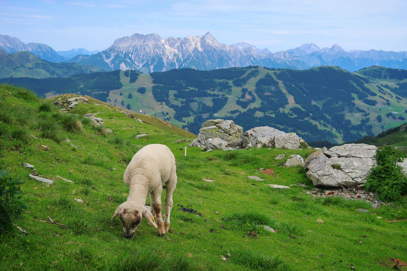 Ruhe & Frieden 