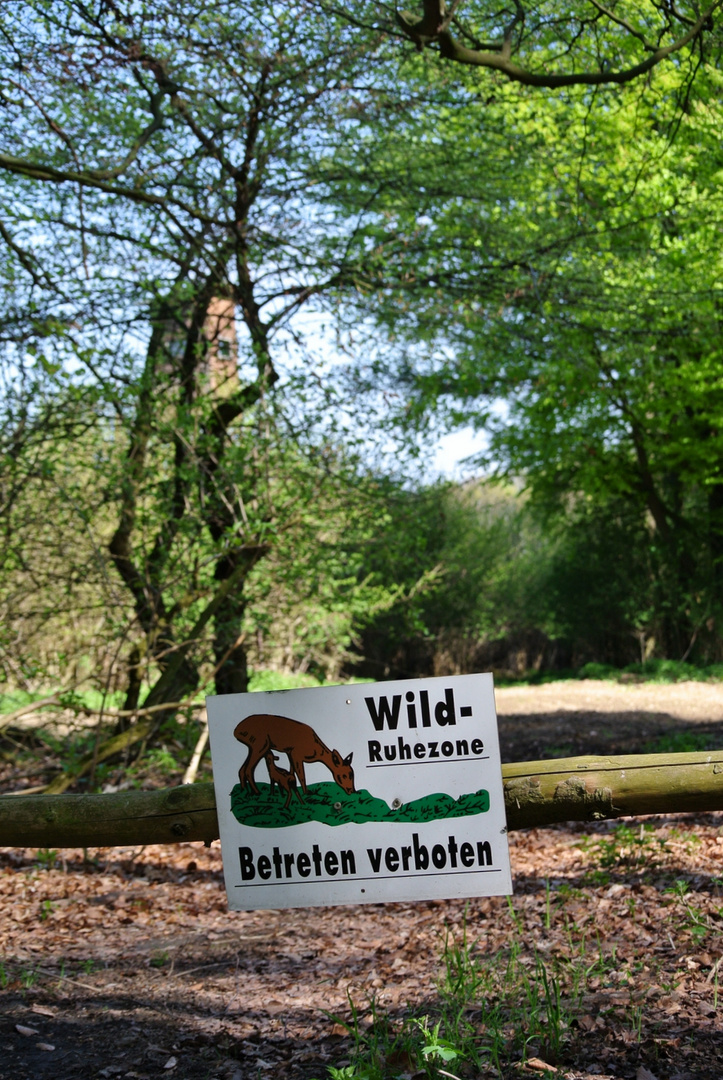 Ruhe - für wen? - den Jäger oder den Gejagten