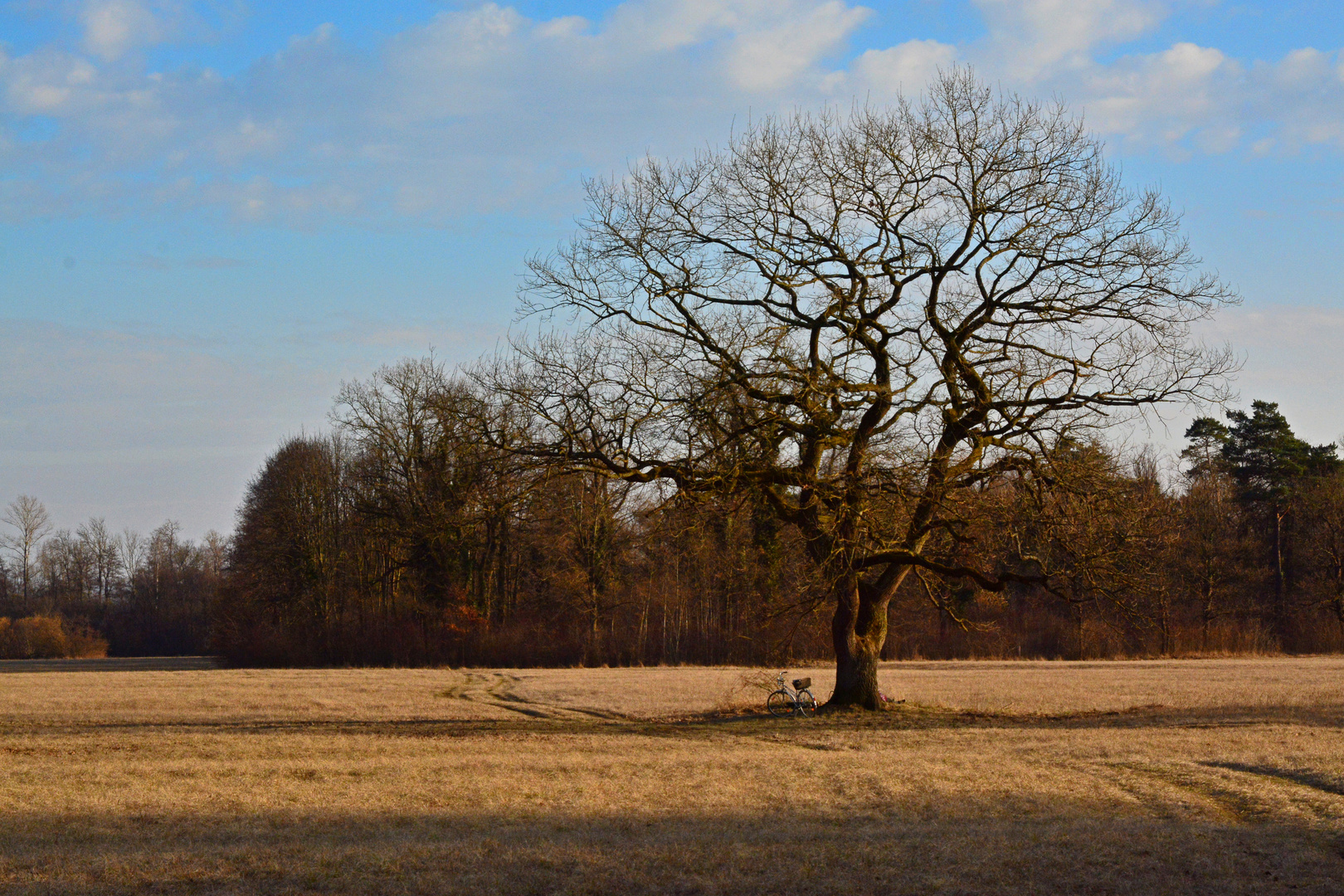 Ruhe im Abendlicht