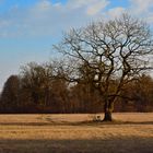 Ruhe im Abendlicht