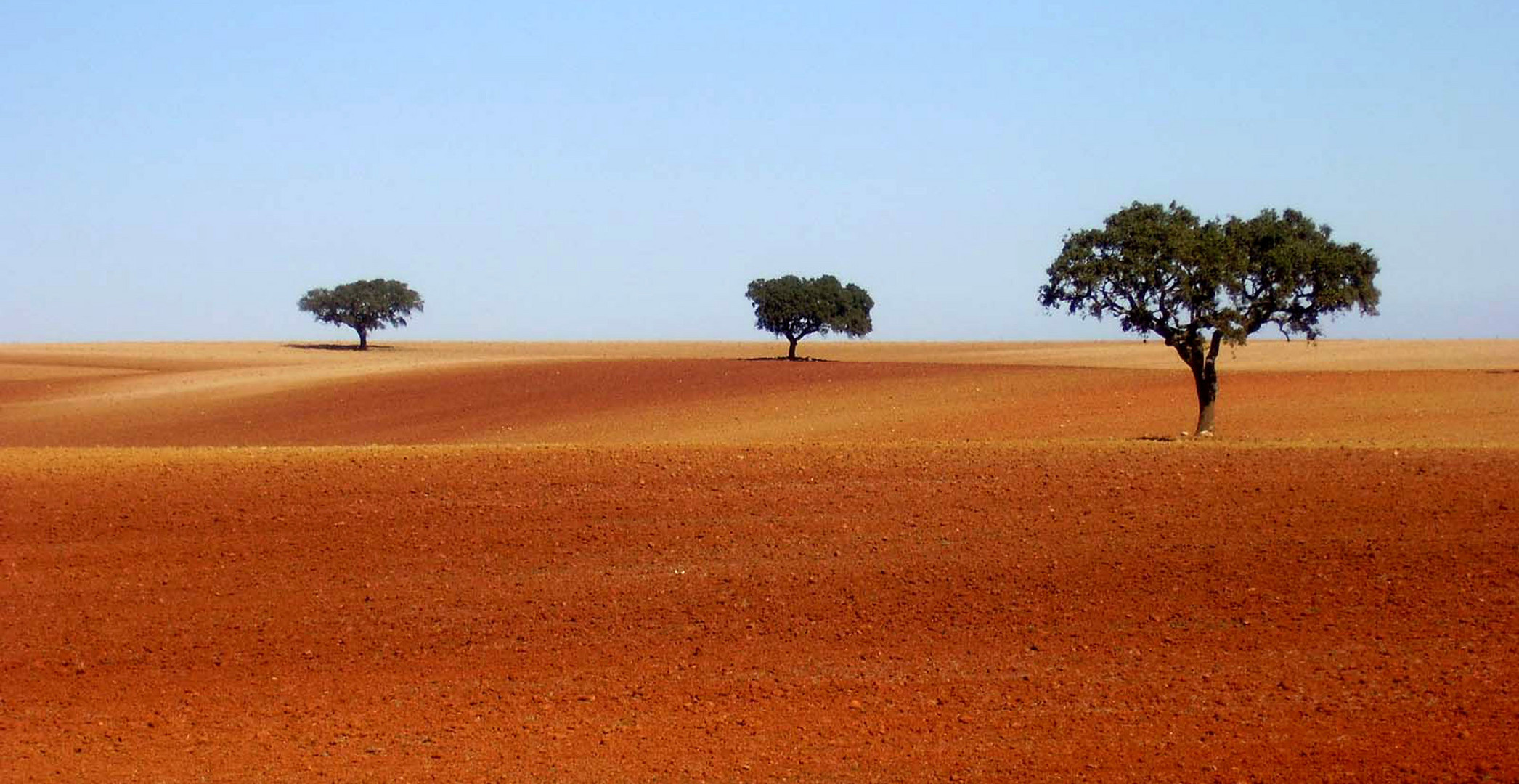 Ruhe im Alentejo / Portugal