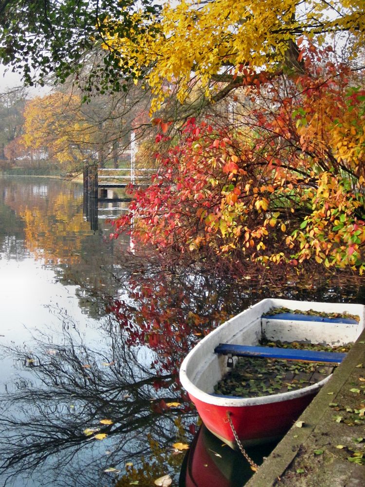 Ruhe im Boot.....