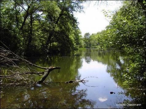 Ruhe im Bürgerpark Nord (Darmstadt) Foto & Bild landschaft, bach