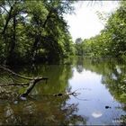 Ruhe im Bürgerpark Nord (Darmstadt)