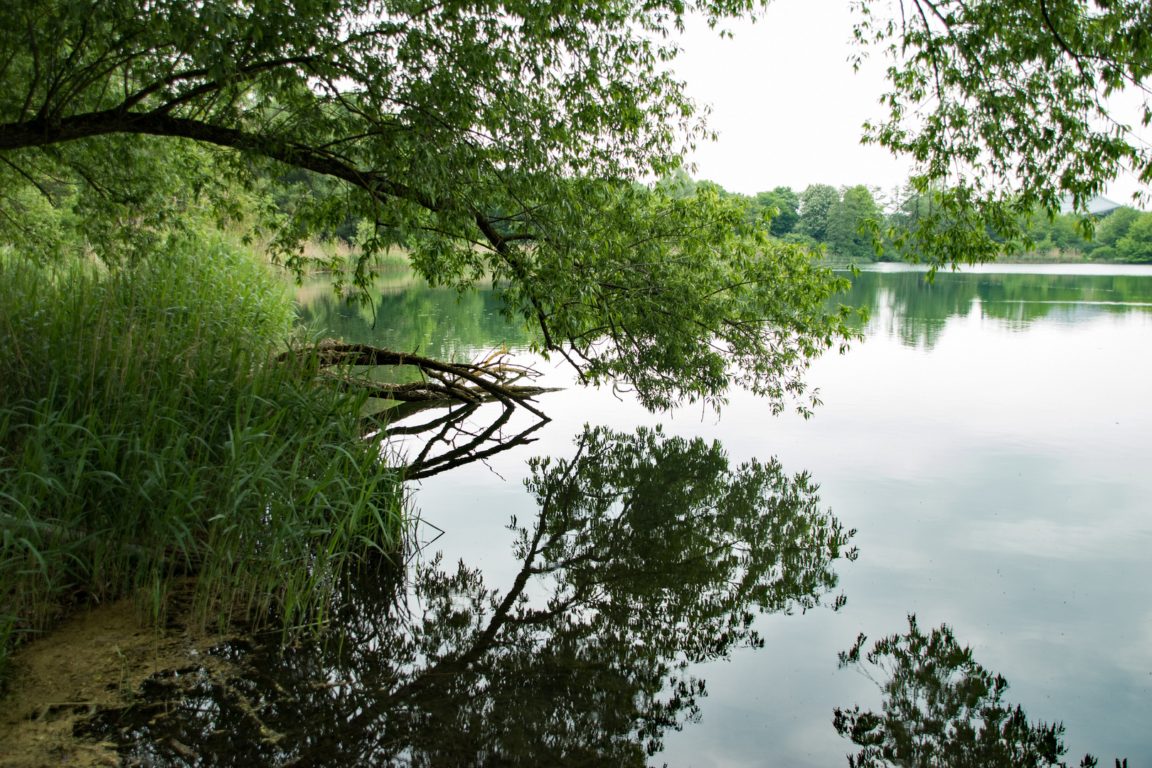 Ruhe im Donaupark Regensburg