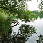 Ruhe im Donaupark Regensburg