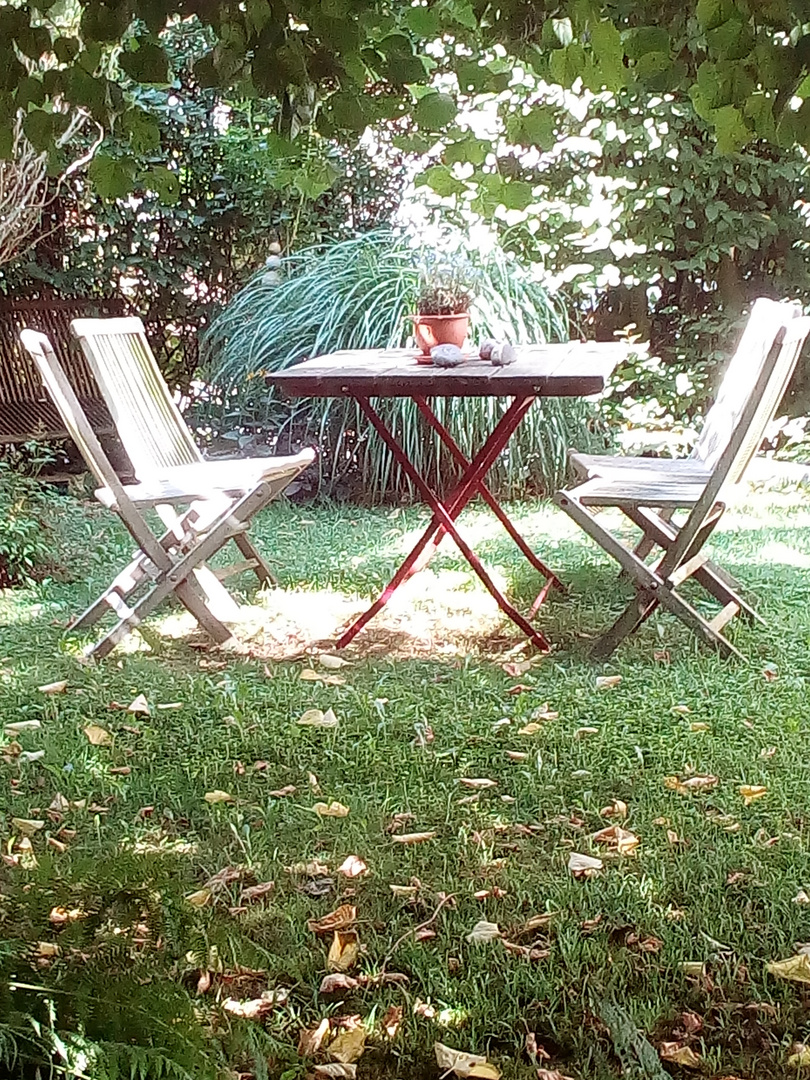 Outdoor Bilder Garten