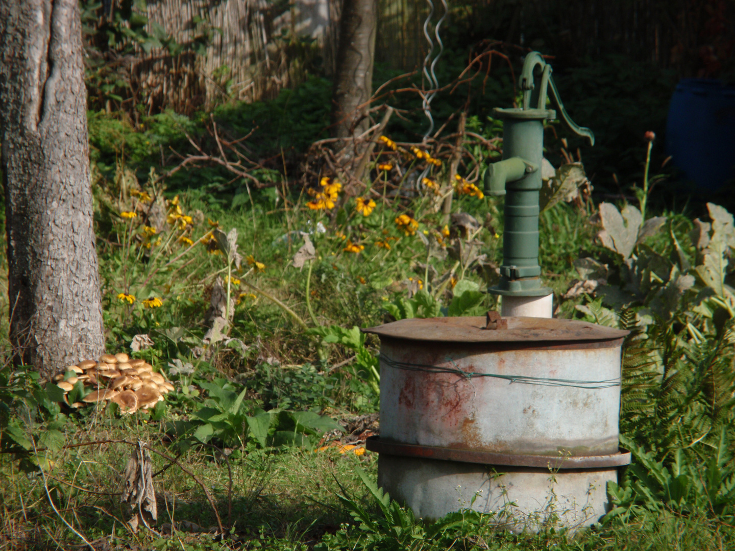 Ruhe im Garten