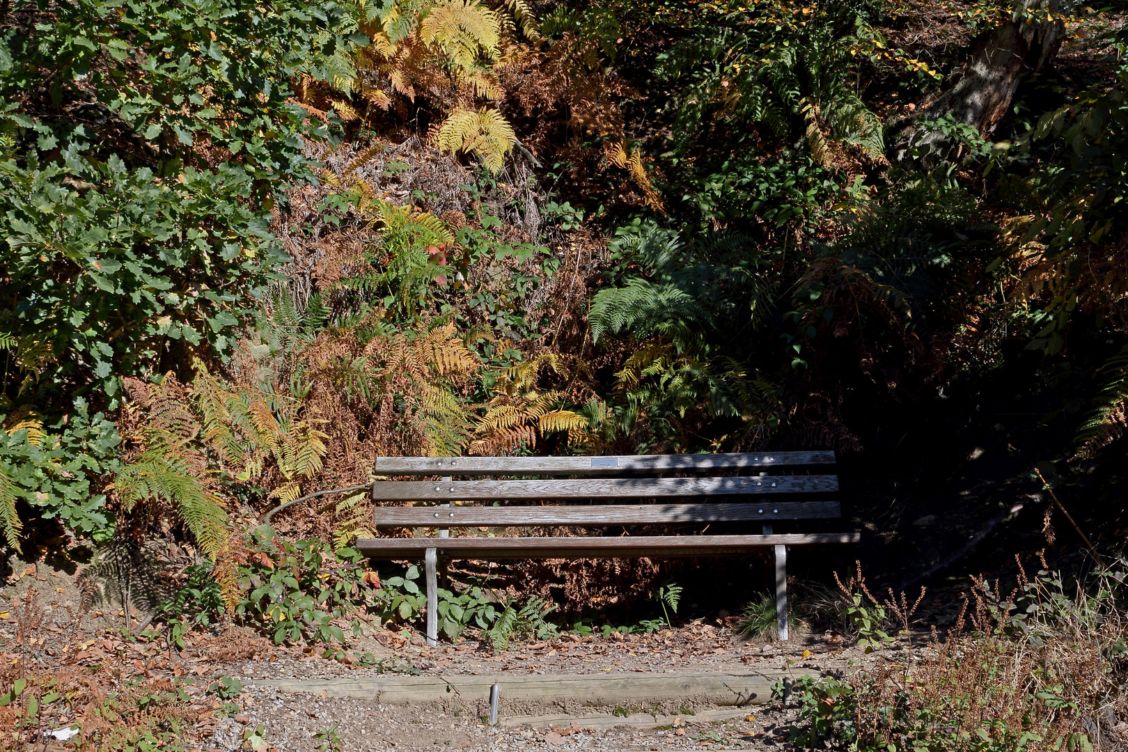 Ruhe im Herbst