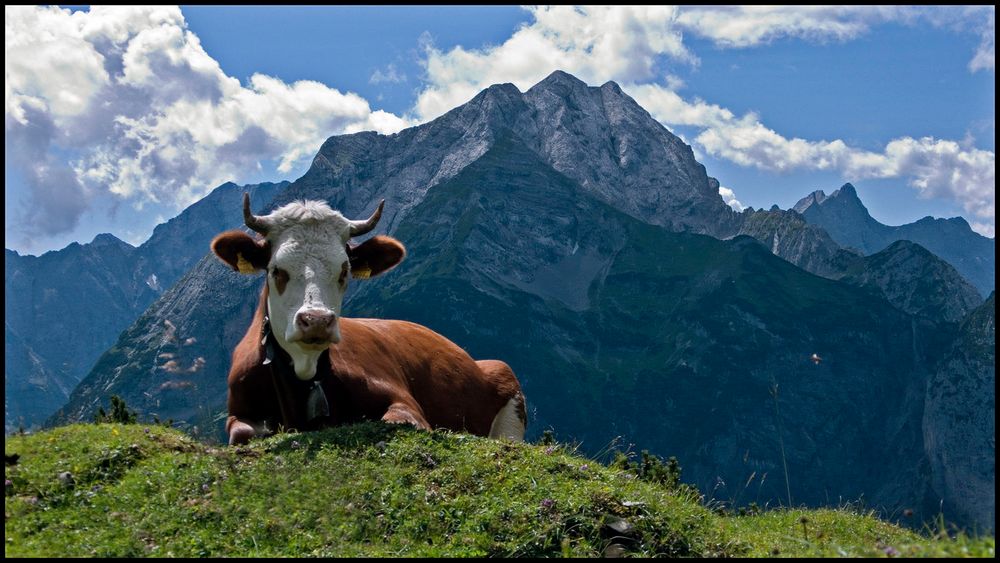 Ruhe im Karwendel