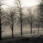 Ruhe im Lainzer Tiergarten