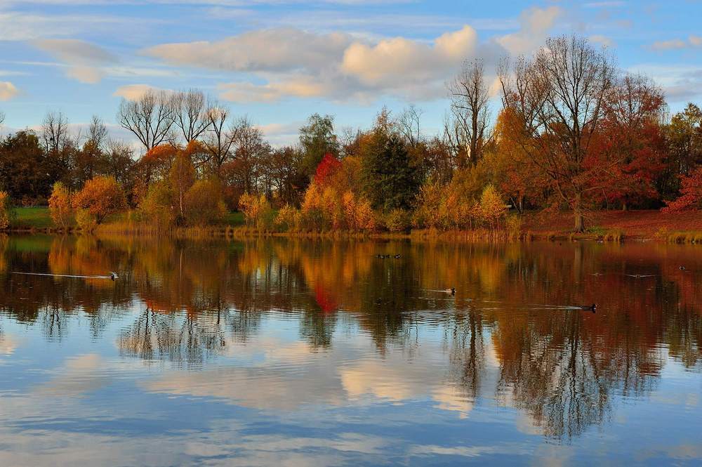 Ruhe im Marienpark