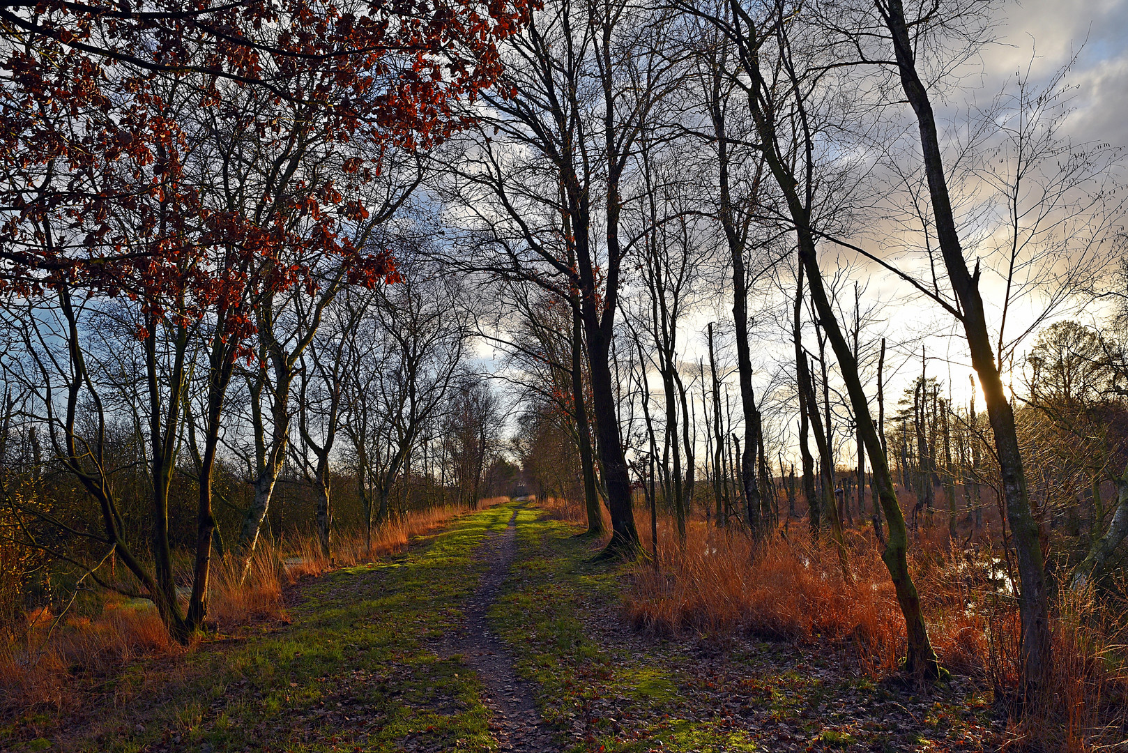 Ruhe im Moor