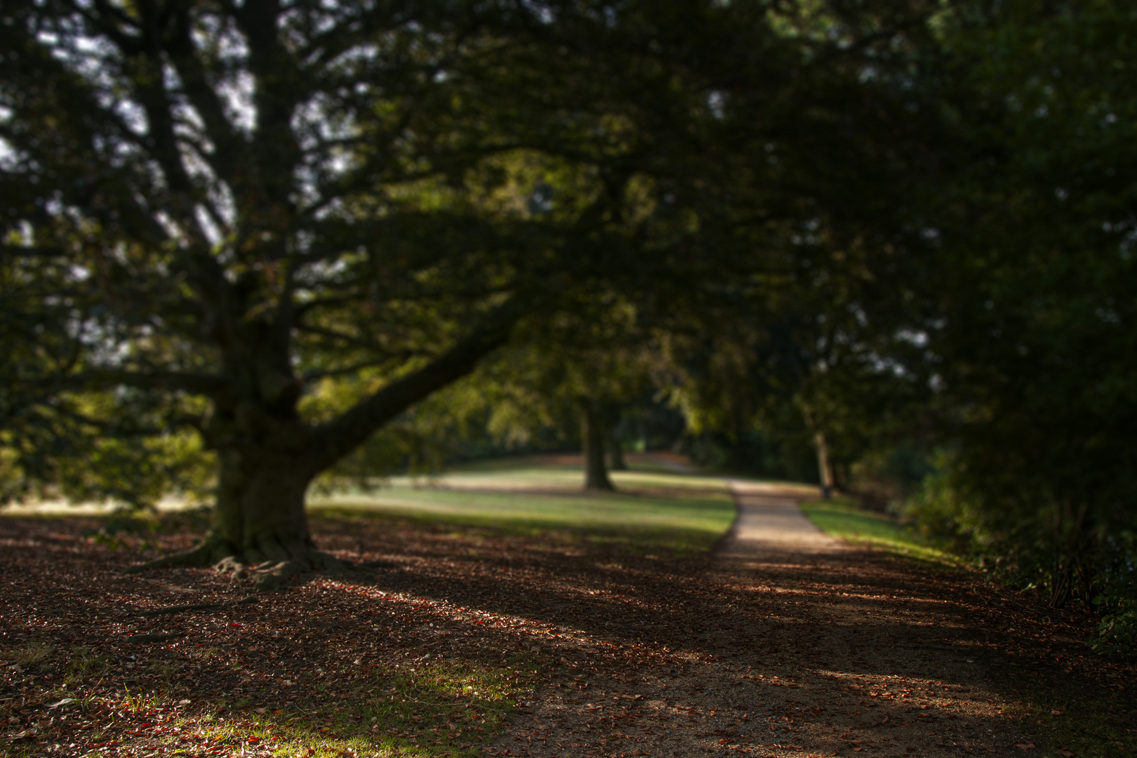 Ruhe im Park