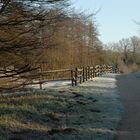 Ruhe im Sachsenwald am 2. Feiertag