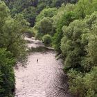 Ruhe im Wald - Der Angler