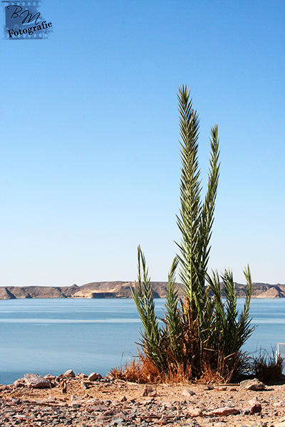 Ruhe in Abu Simbel