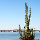 Ruhe in Abu Simbel