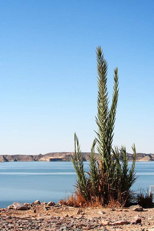 Ruhe in Abu Simbel (die große Variante)