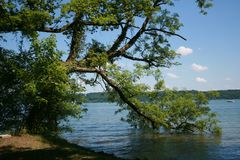 Ruhe in der Natur genießen