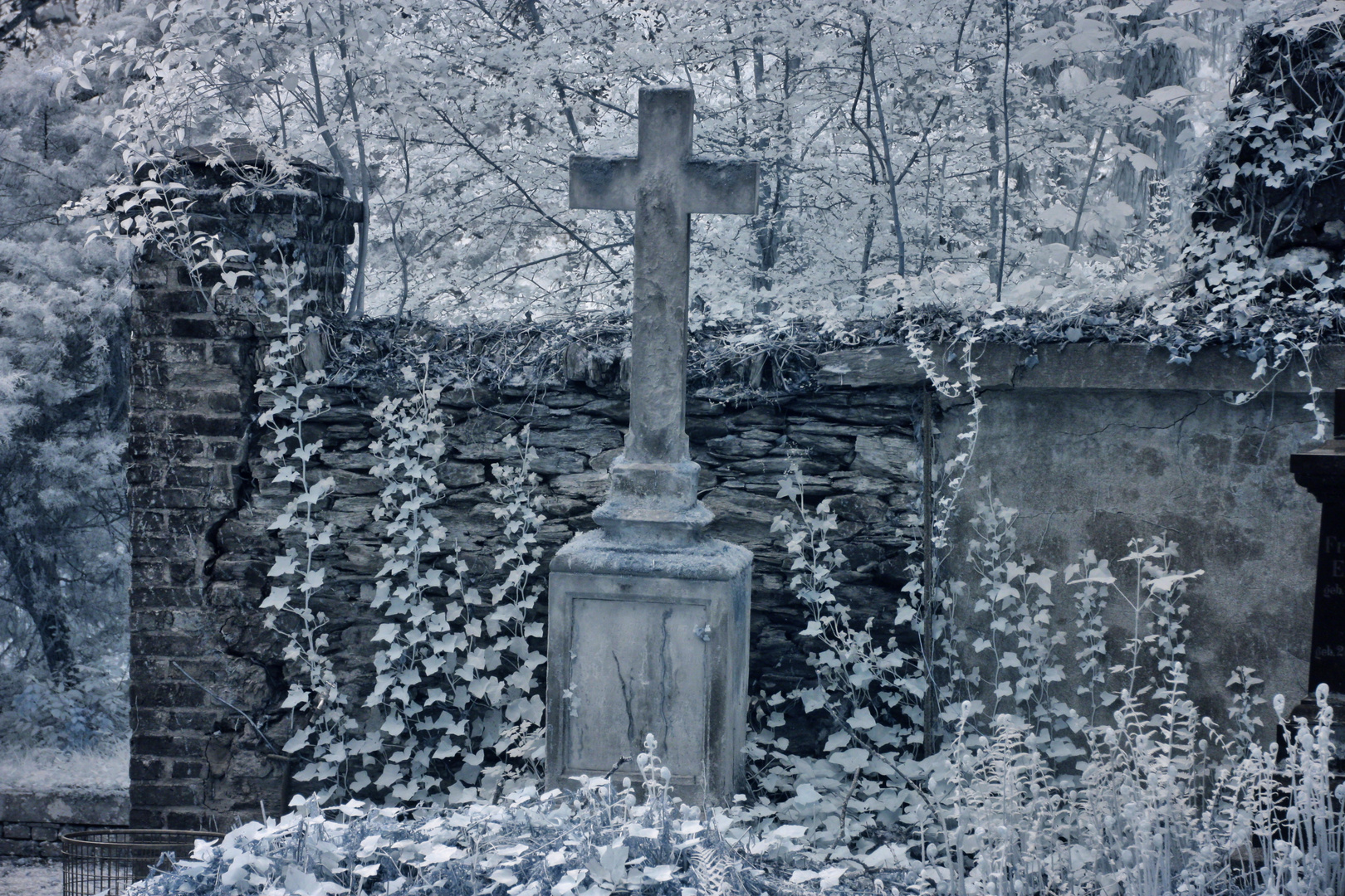 Ruhe in Frieden - Friedhof in infrarot