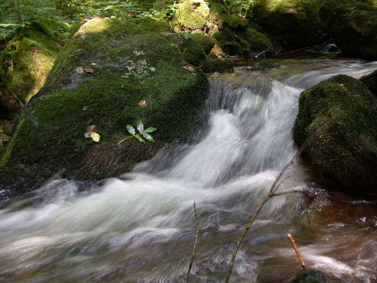 Ruhe - Leben - Erholung