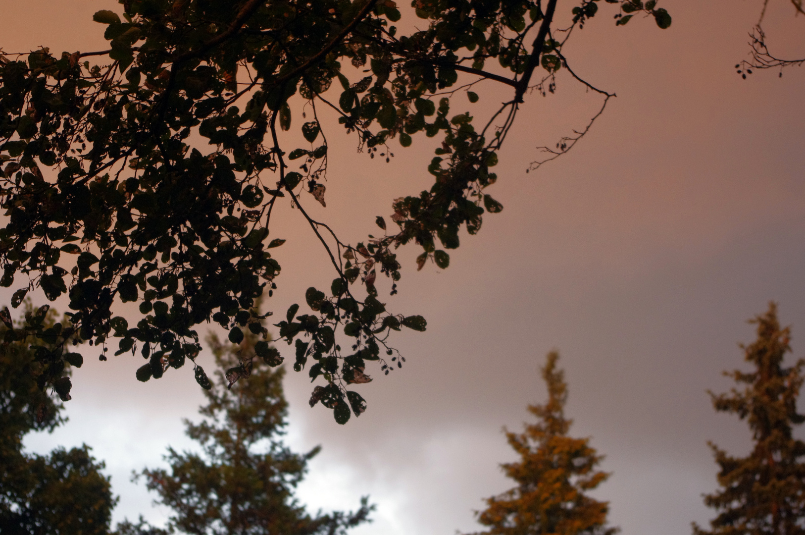 Ruhe nach dem Sturm