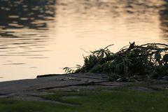 Ruhe nach dem Sturm am Aasee Münster