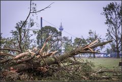 Ruhe nach dem Sturm