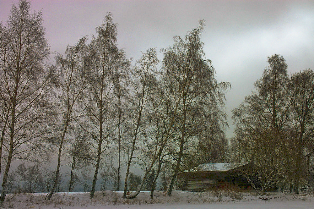 Ruhe nach dem Sturm II