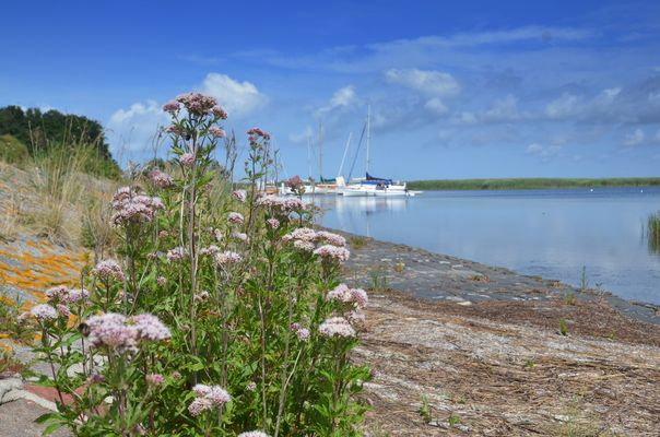 Ruhe südlich bei Neuendorf Insl Hiddensee