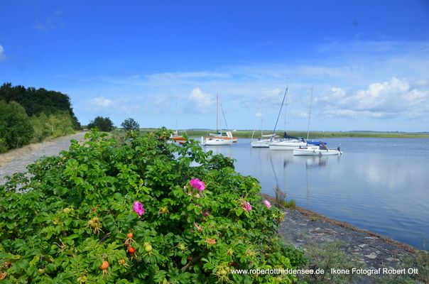 Ruhe südlich bei Neuendorf Insl Hiddensee