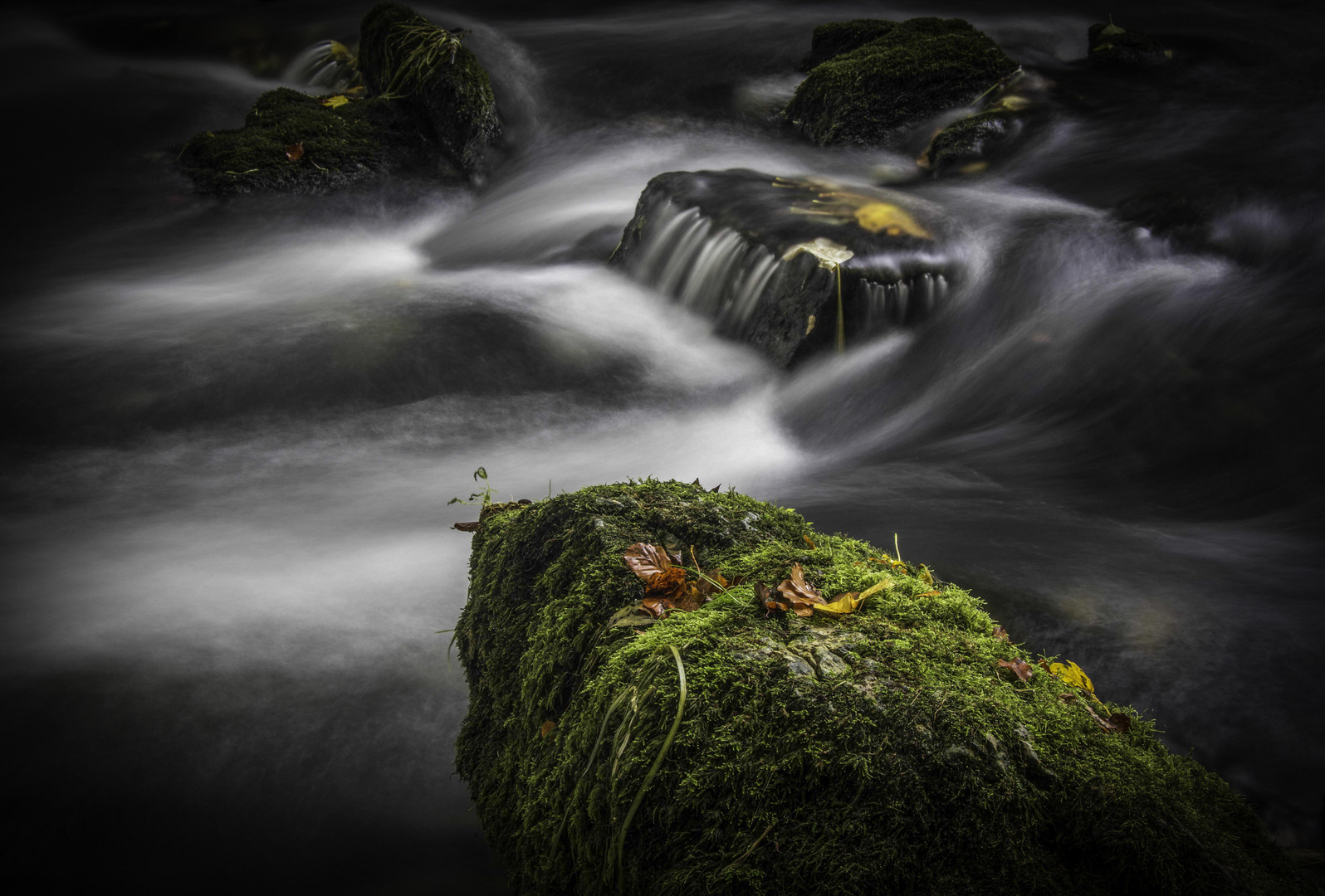 Ruhe und Bewegung am Fluss