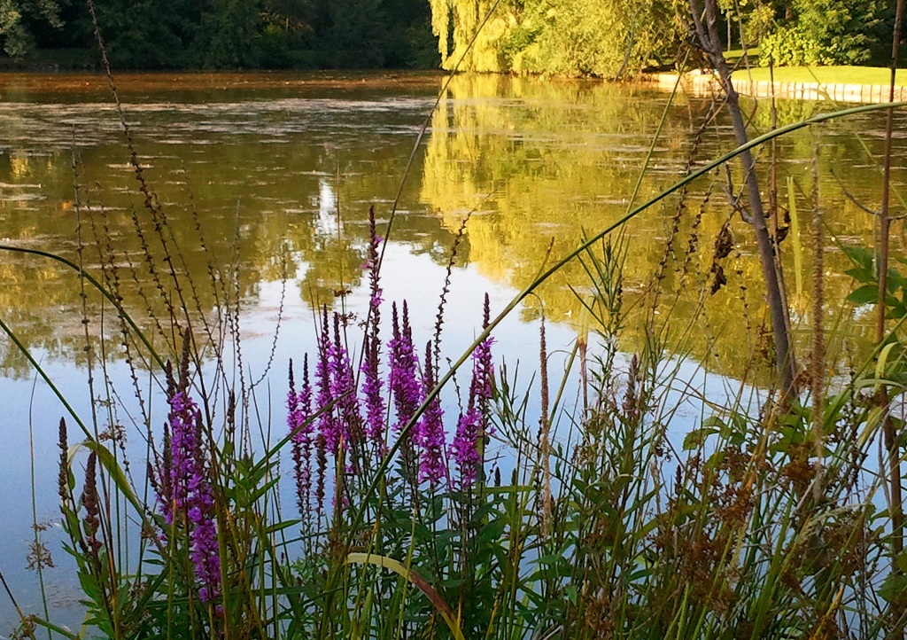 Ruhe und Entspannung am See