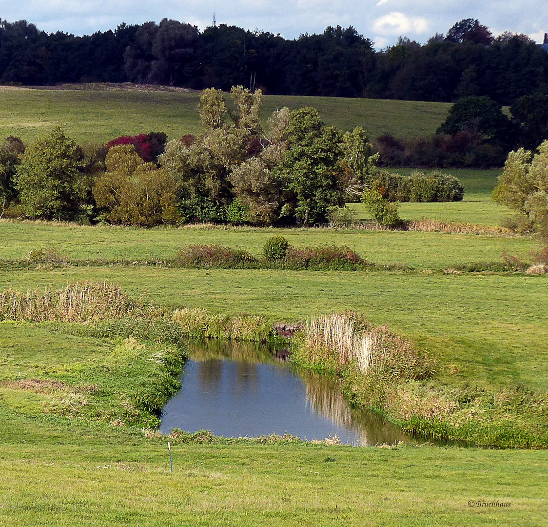 Ruhe und Erholung an der Tollense in Mecklenburg