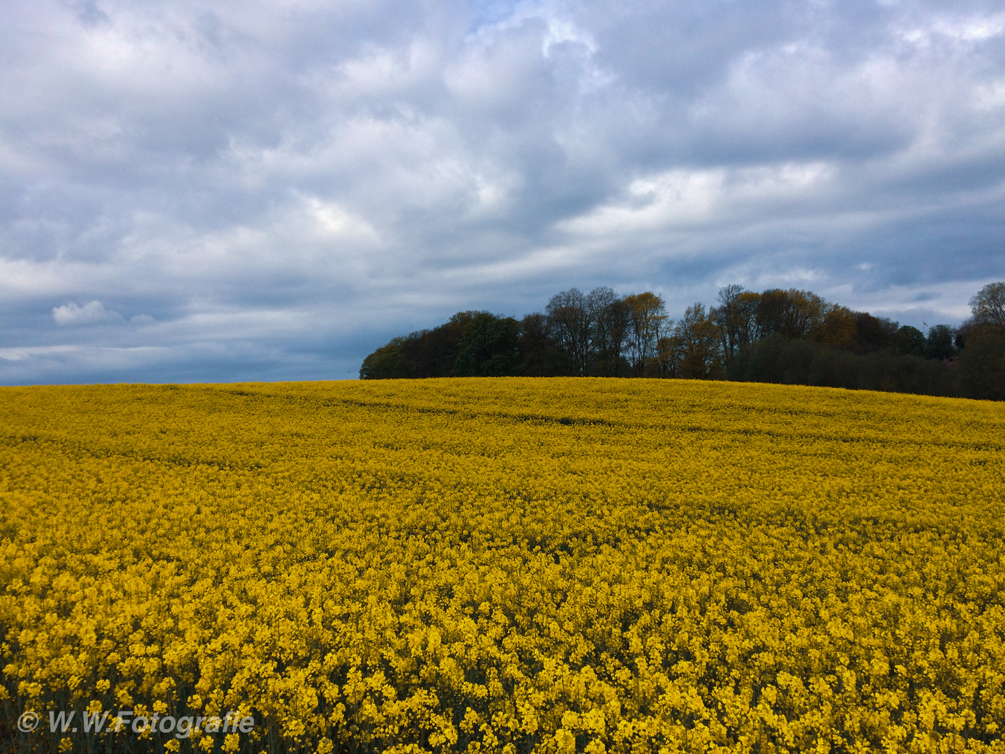 Ruhe und Frieden