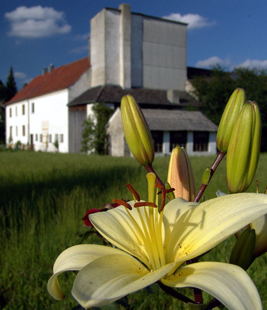 Ruhe und Frieden