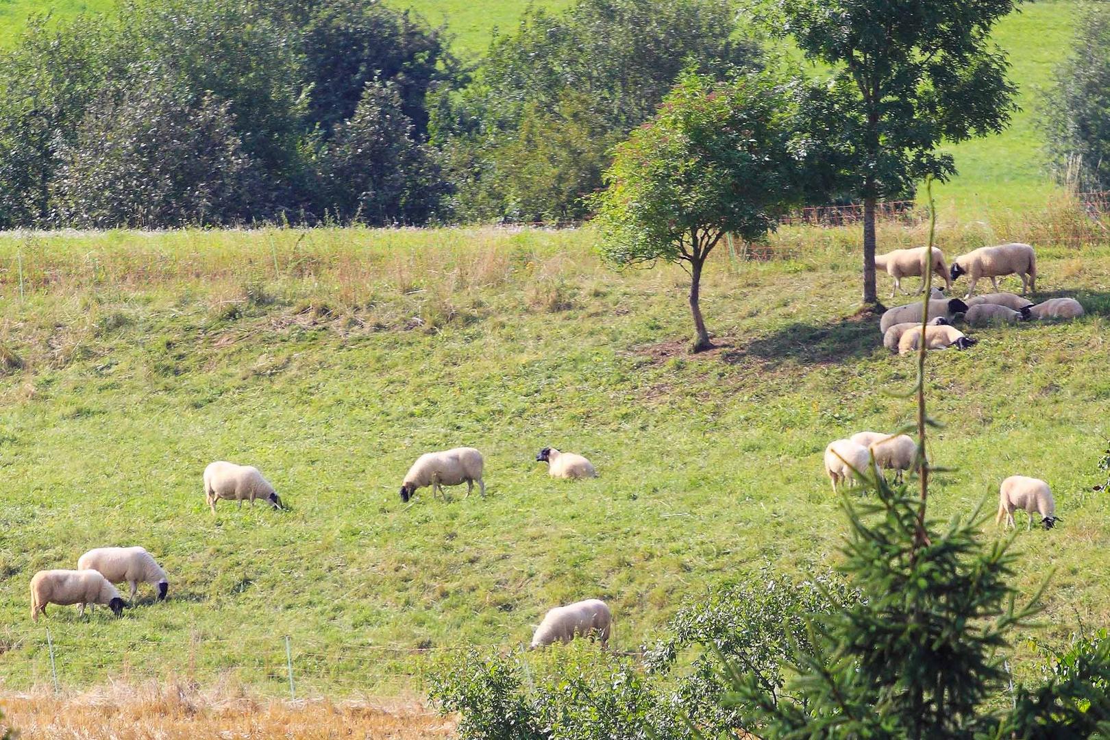 Ruhe und Gemütlichkeit