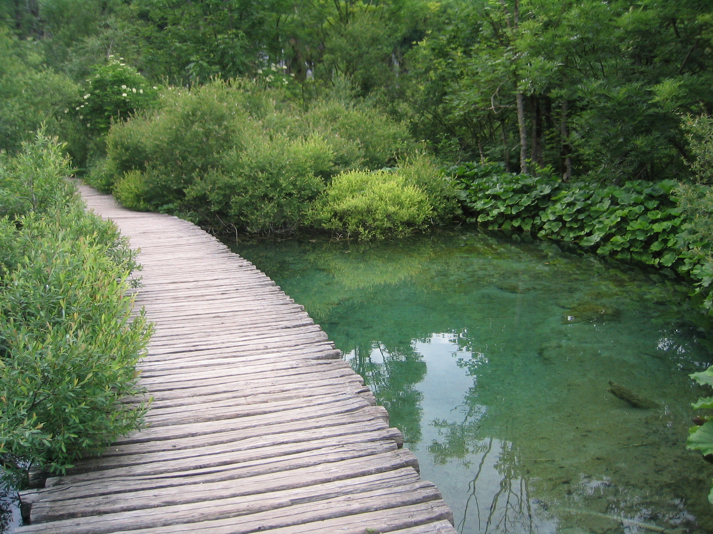 Ruhe und Harmonie an den Plitvicer Seen