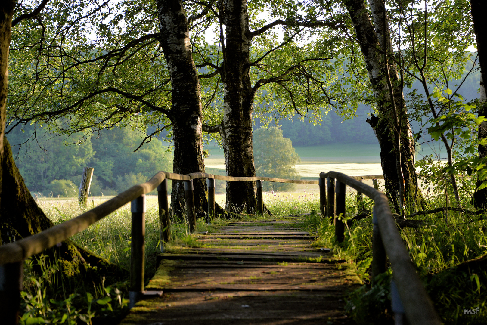 Ruhe und Natur pur genießen Foto & Bild natur , outdoor, felder Bilder auf Ruhe und Natur pur genießen Foto & Bild natur , outdoor, felder Bilder auf