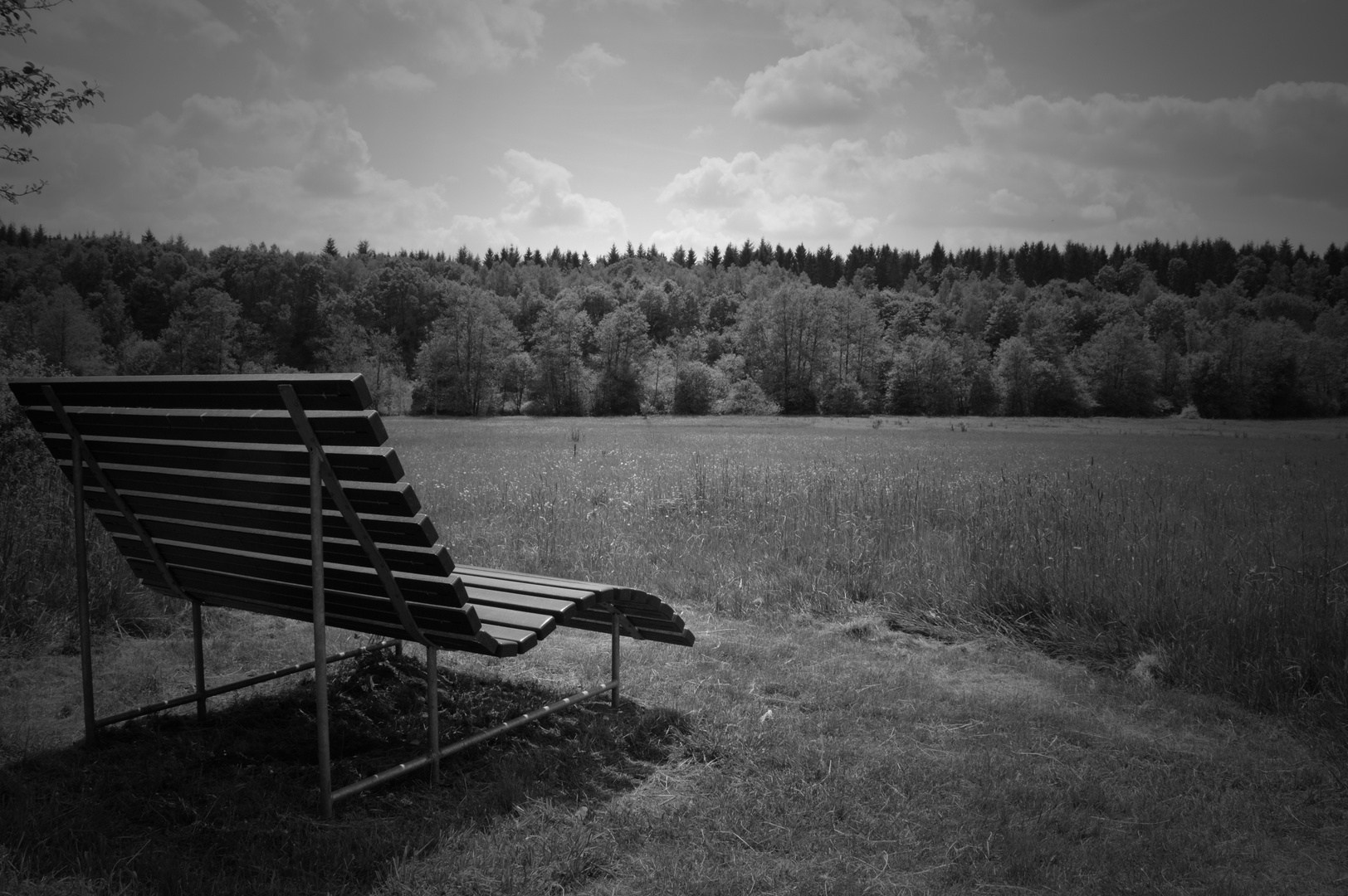 Ruhe und Stille am Losheimer See