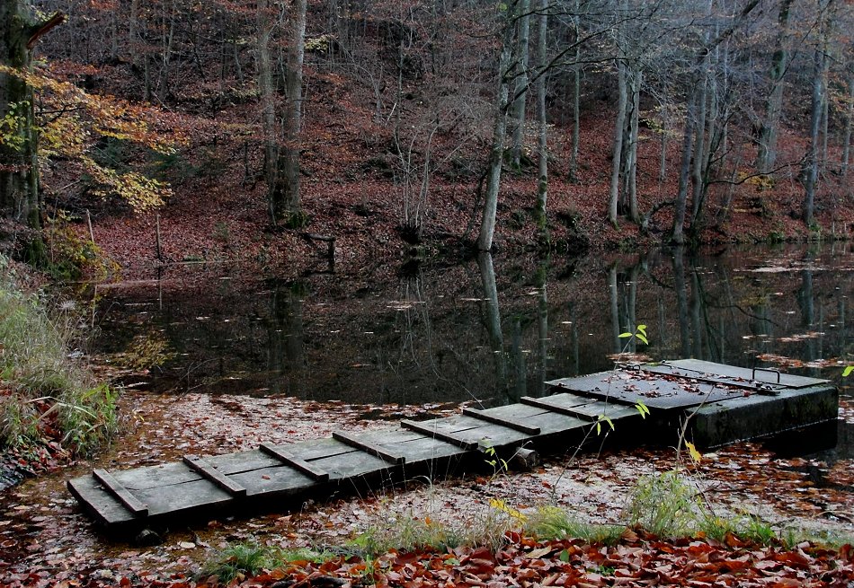 Ruhe und Stille, Herbst aktuell