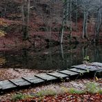 Ruhe und Stille, Herbst aktuell