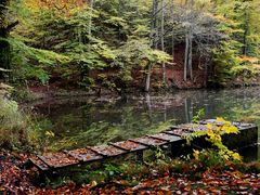 Ruhe und Stille, Voll-Herbst