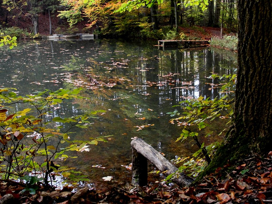 Ruhe und Stille, Voll-Herbst andere Seite