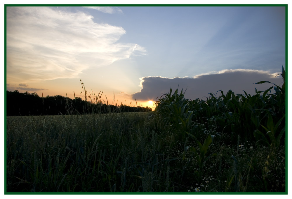 Ruhe vor dem Sturm